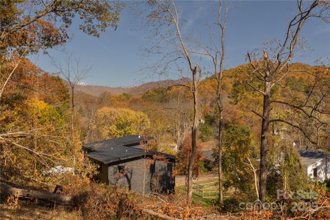 13 Bassett Road Asheville NC 28804