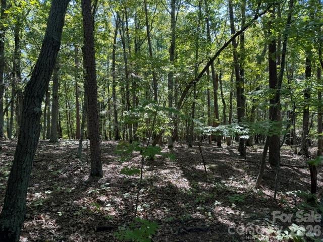 00 Washington Ridge Road