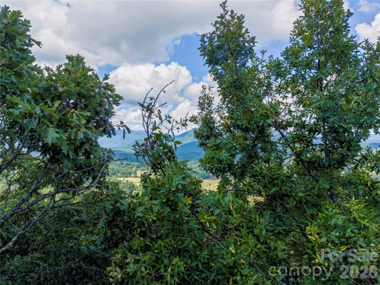 HIGH PINES LOOP, LAKE LURE, NC 28746 - Image 45f8be4e6cfa90d955e10163d24b7ddb/1791552192