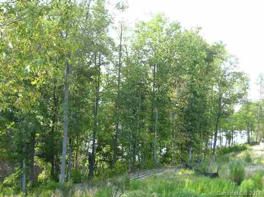 Beautiful Lake Wylie water view/canoe basement lot surrounded by waterfront estates. Winter panoramic view; summer partial but main channel view. Bring your own builder or hold as investment. Excellent opportunity!  Custom home plan designed for this lot available upon request.