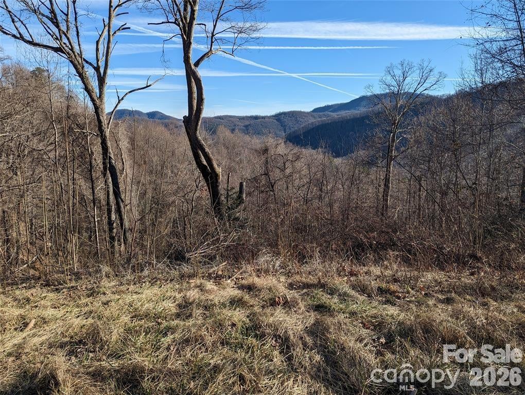117 Ironwood Lane C-20