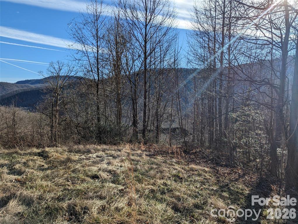 117 Ironwood Lane C-20