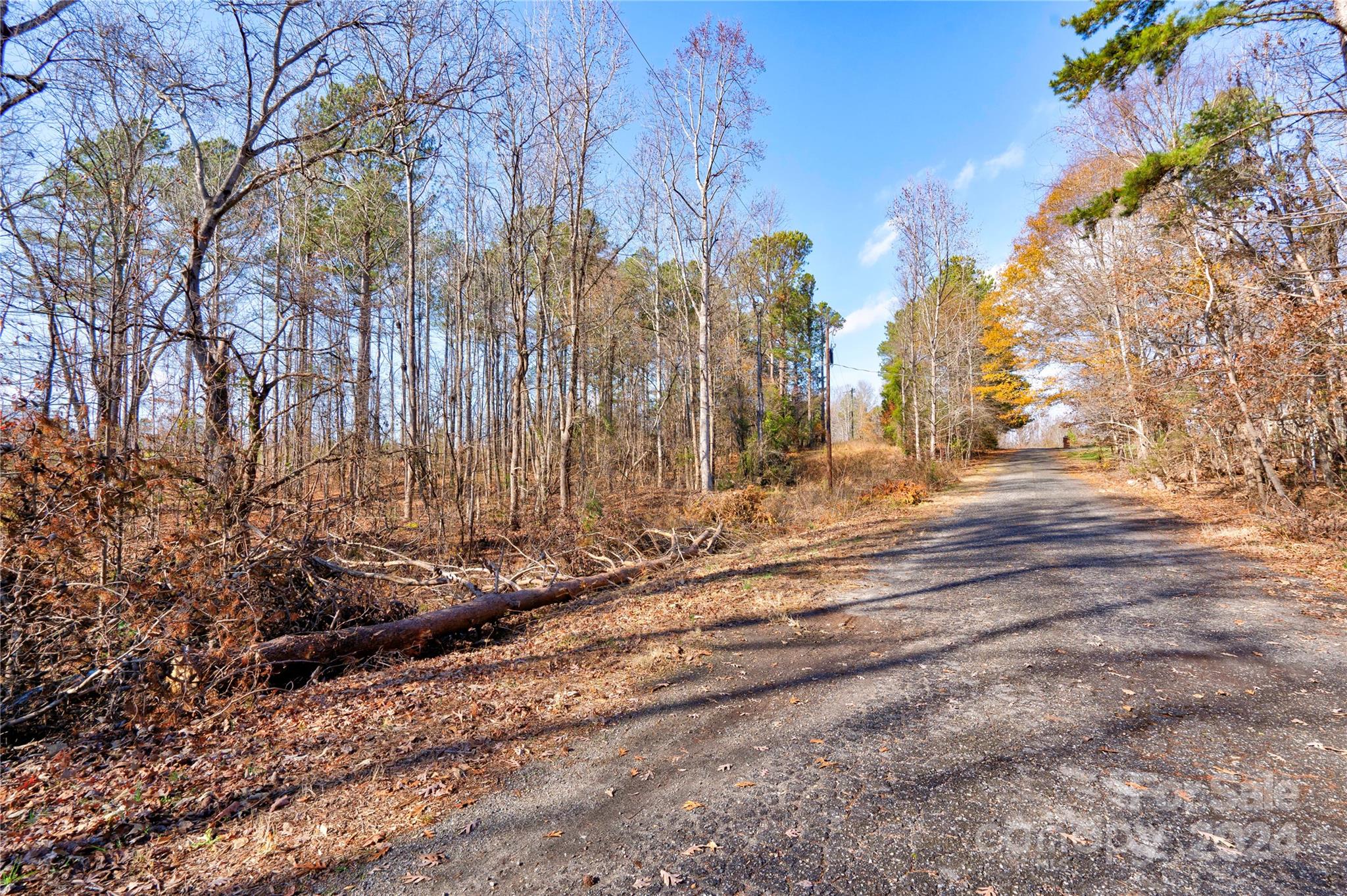 116 Cypress Point Drive