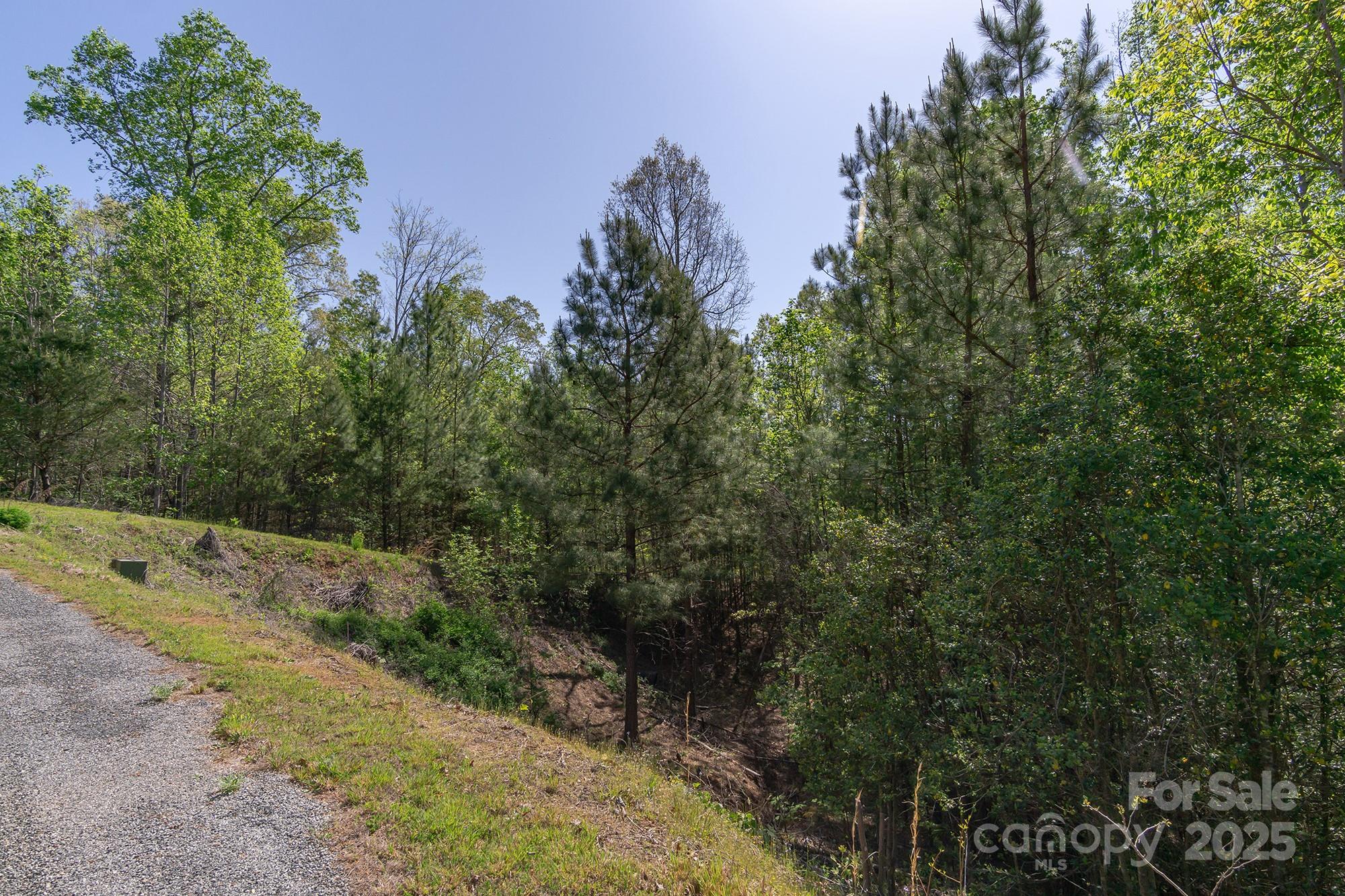 Tranquility at Lake Lure - Land