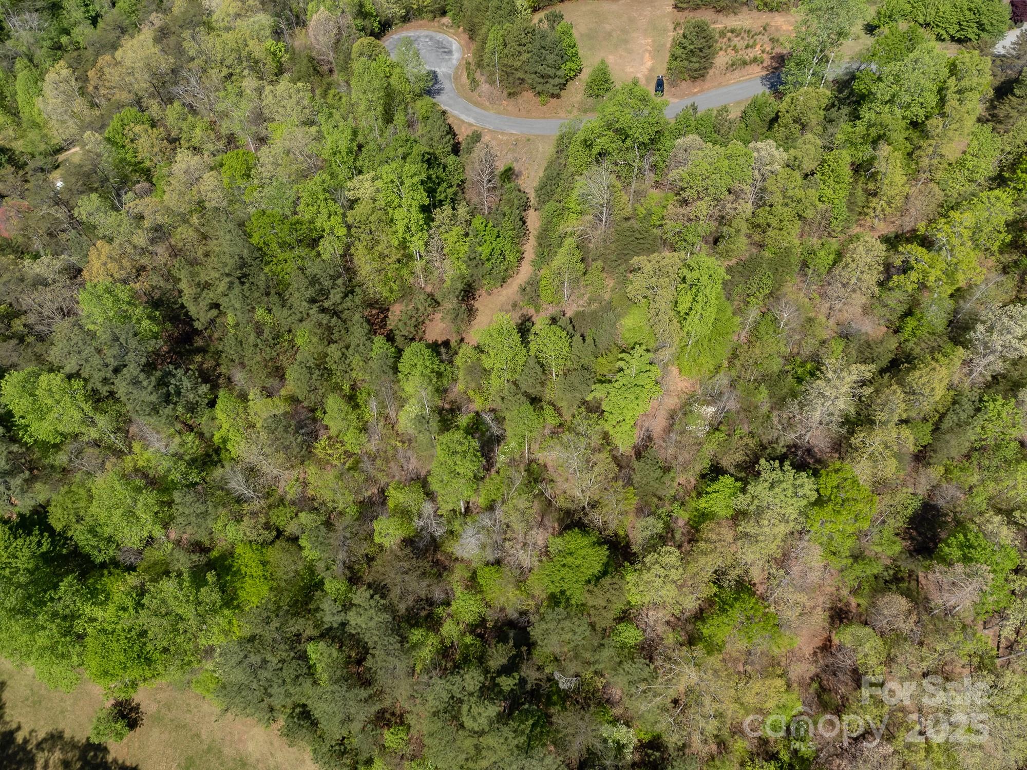Tranquility at Lake Lure - Land