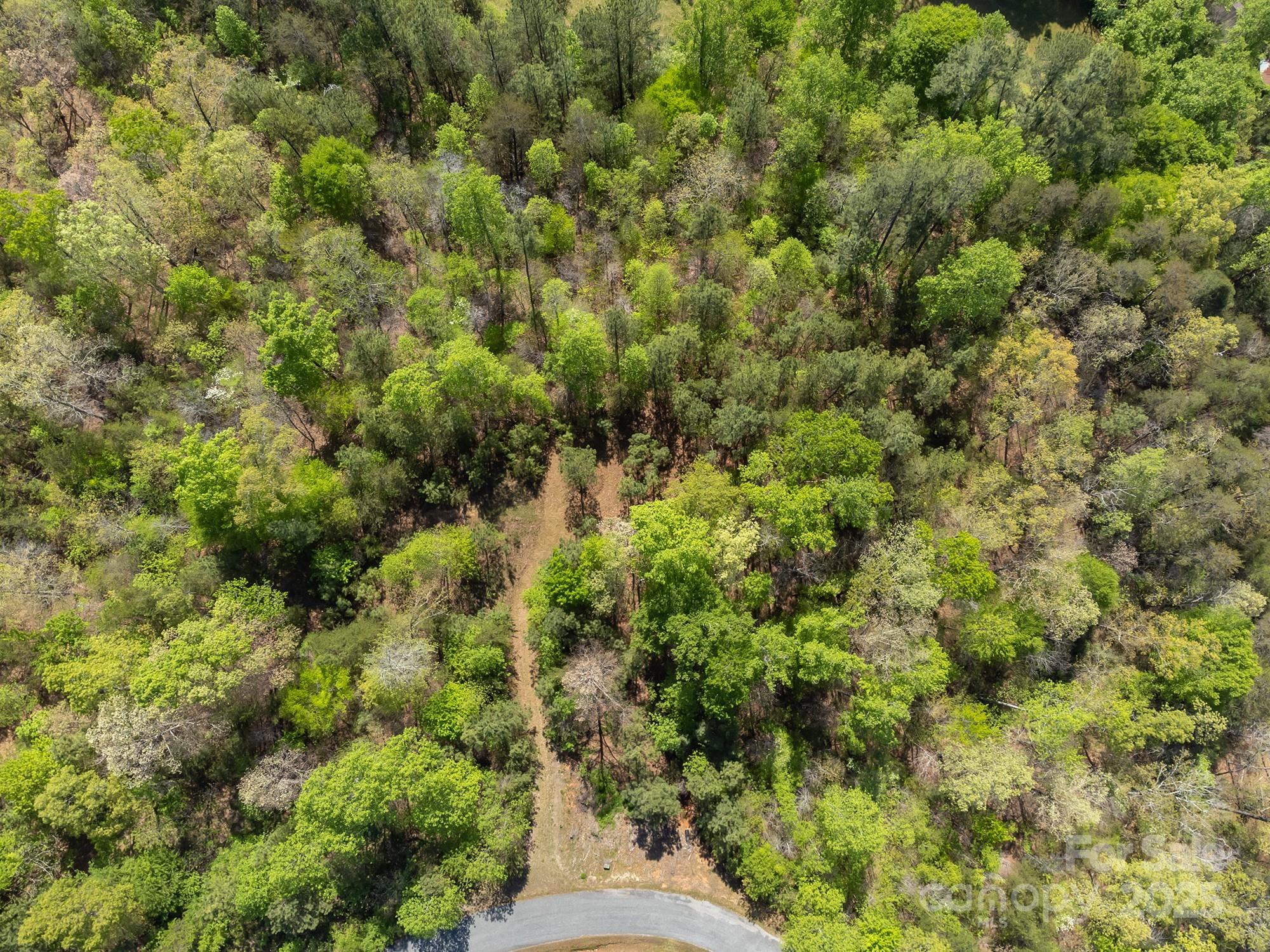 Tranquility at Lake Lure - Land