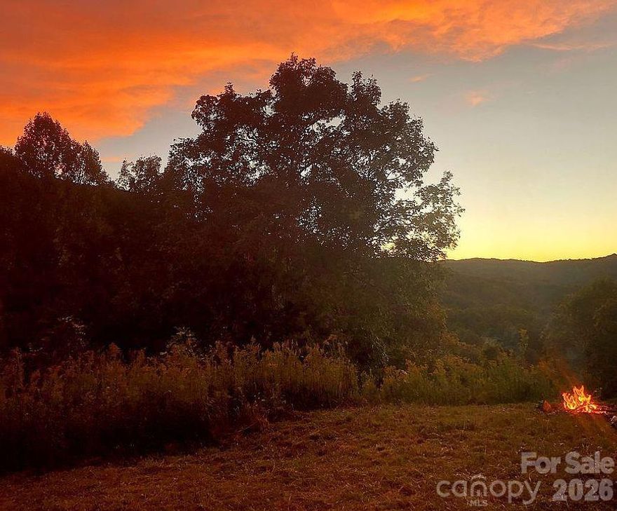 Amazing sunsets and long range mountain views from the buildable homesite with road access. Several potential homesites and a spring on the 20.7 acres. Just 3 miles from the back gate of Eagles Nest, which has the most prominent homes in the area. Very private and quiet and no restrictions. Just 24 minutes from Banner Elk. Close to several water falls, shopping, skiing, Watauga Lake with fishing and boating, Roan Mountain and the Appalachian Trail. Build your dream home now or develop it in the future. Exceptional hunting on the property. Valuable timber will be ready to log in a few years. Abundant wildlife, hardwoods, rock outcroppings and wildflowers. Cable and electric on Dark Ridge Road near our road to the homesite.