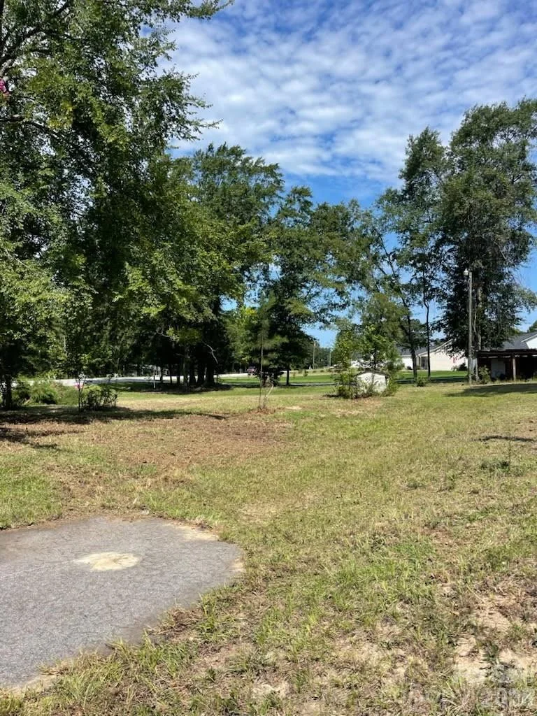 403 Clark Street, Pageland, SC, 29728