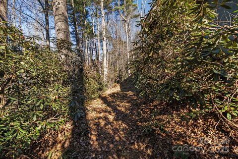 A home in Pisgah Forest