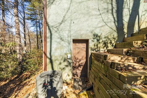 A home in Pisgah Forest