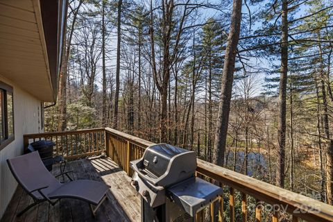 A home in Pisgah Forest