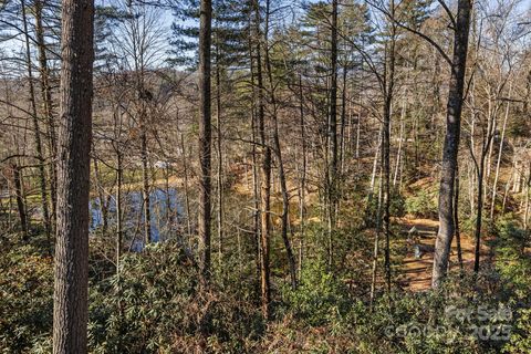 A home in Pisgah Forest