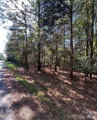 LANKSFORD RD, FORT LAWN, SC 29714 - Image 461ca65fd084ee36b13ea9f66e78f406/246238249