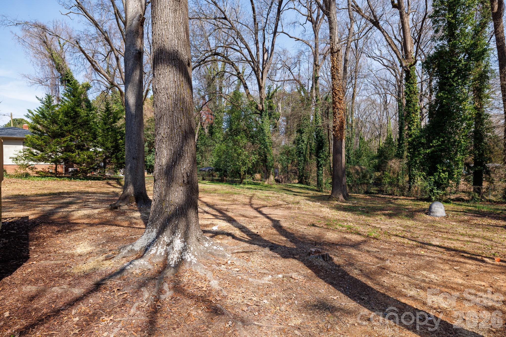 Ragin Estates - Residential