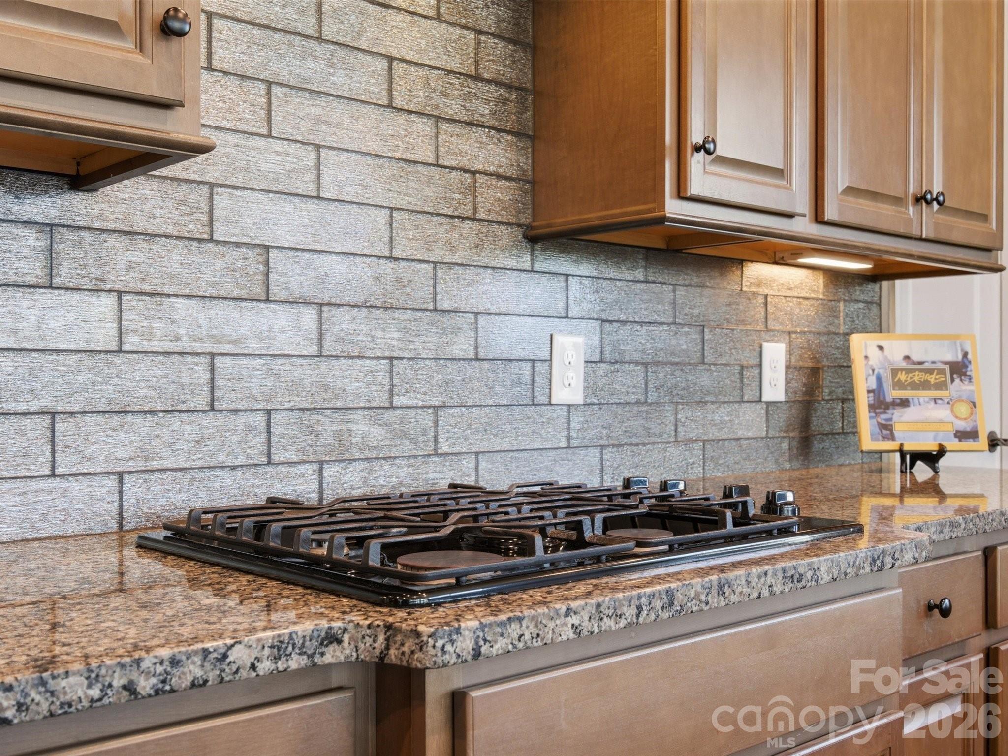 Handsmill On Lake Wylie - Residential