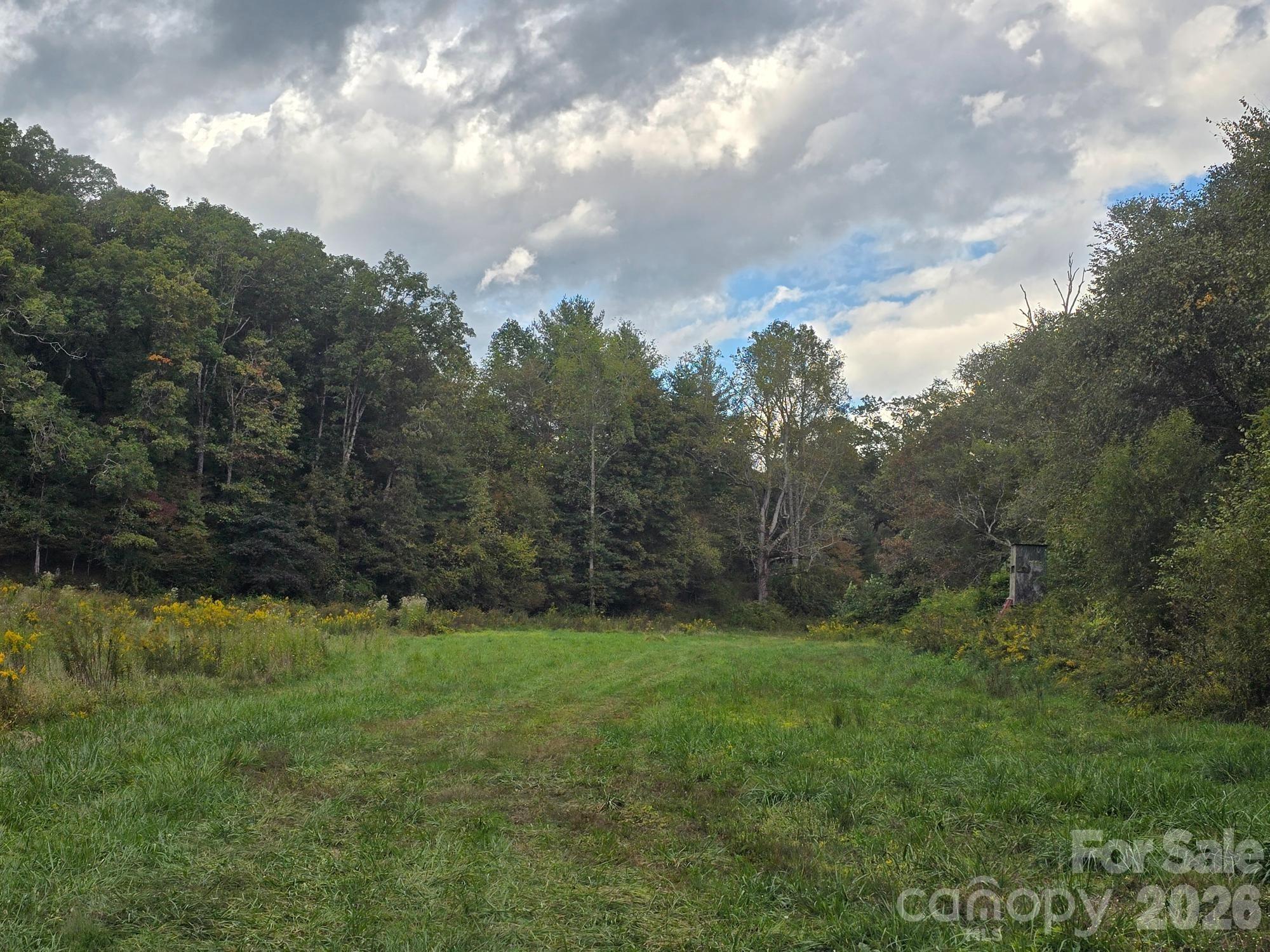 000 Cook Lane 24.87 Acres