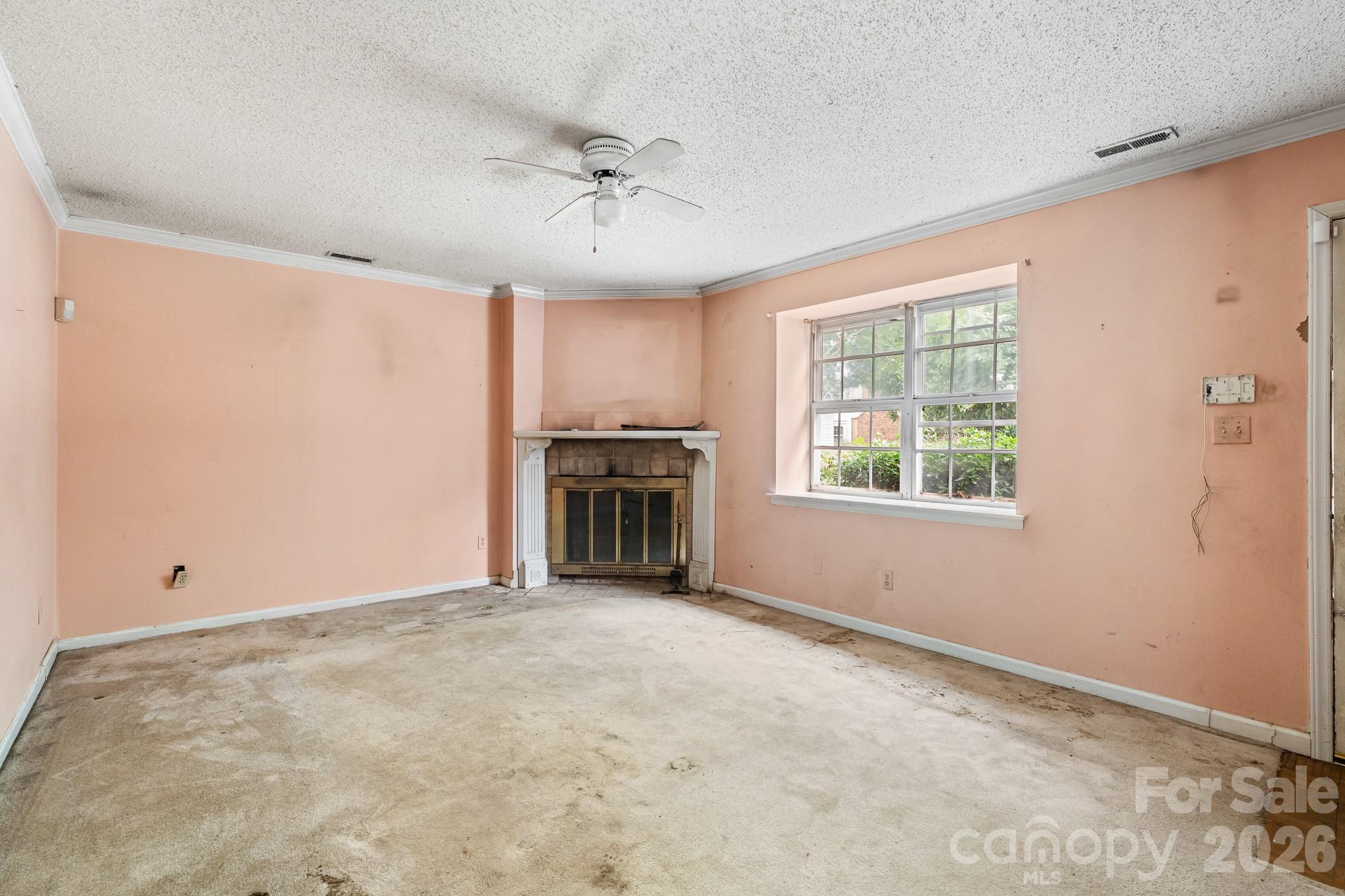 8504 Castle Pine Court