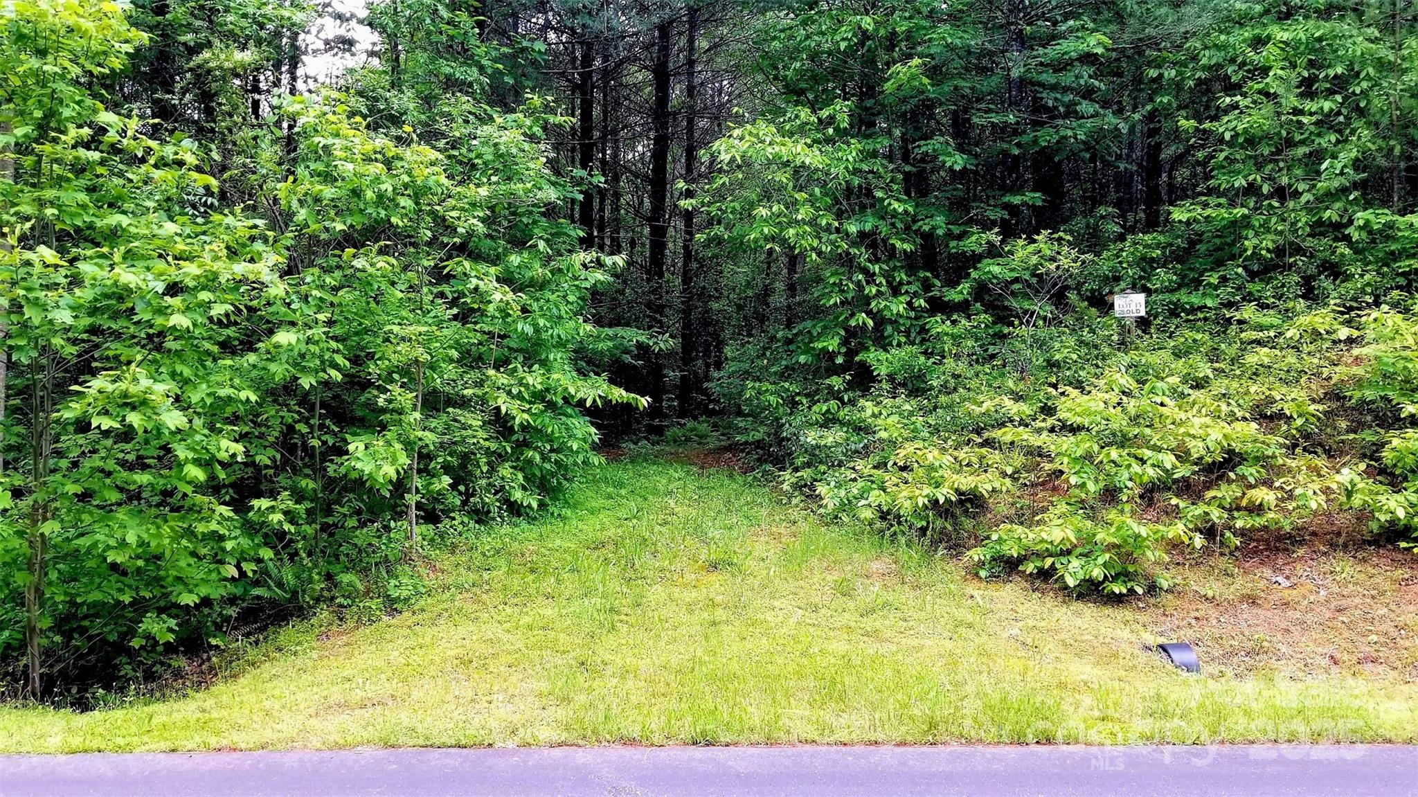 4.6 Acre Lot 15 Narrow Gauge Drive