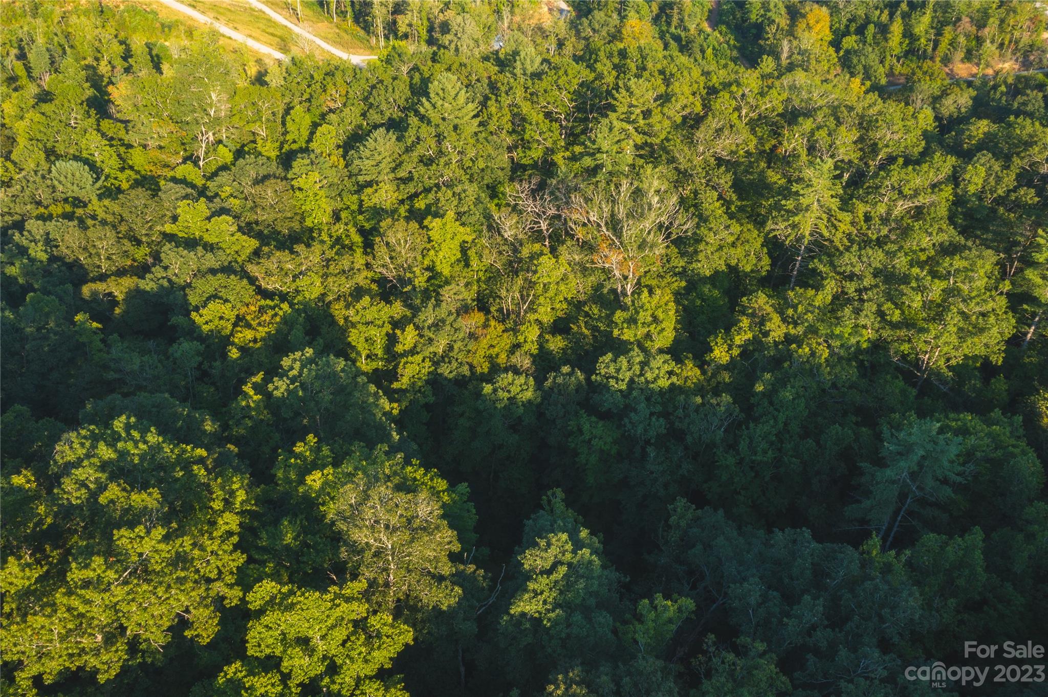 4157 Kirby Mountain Road