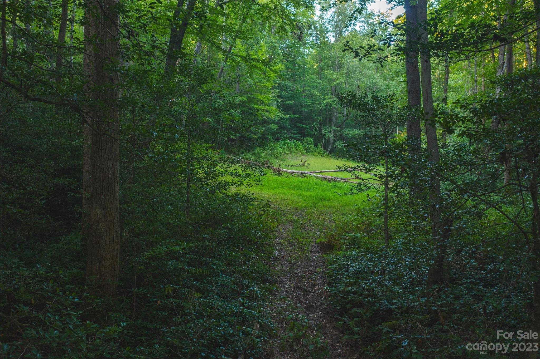 4157 Kirby Mountain Road