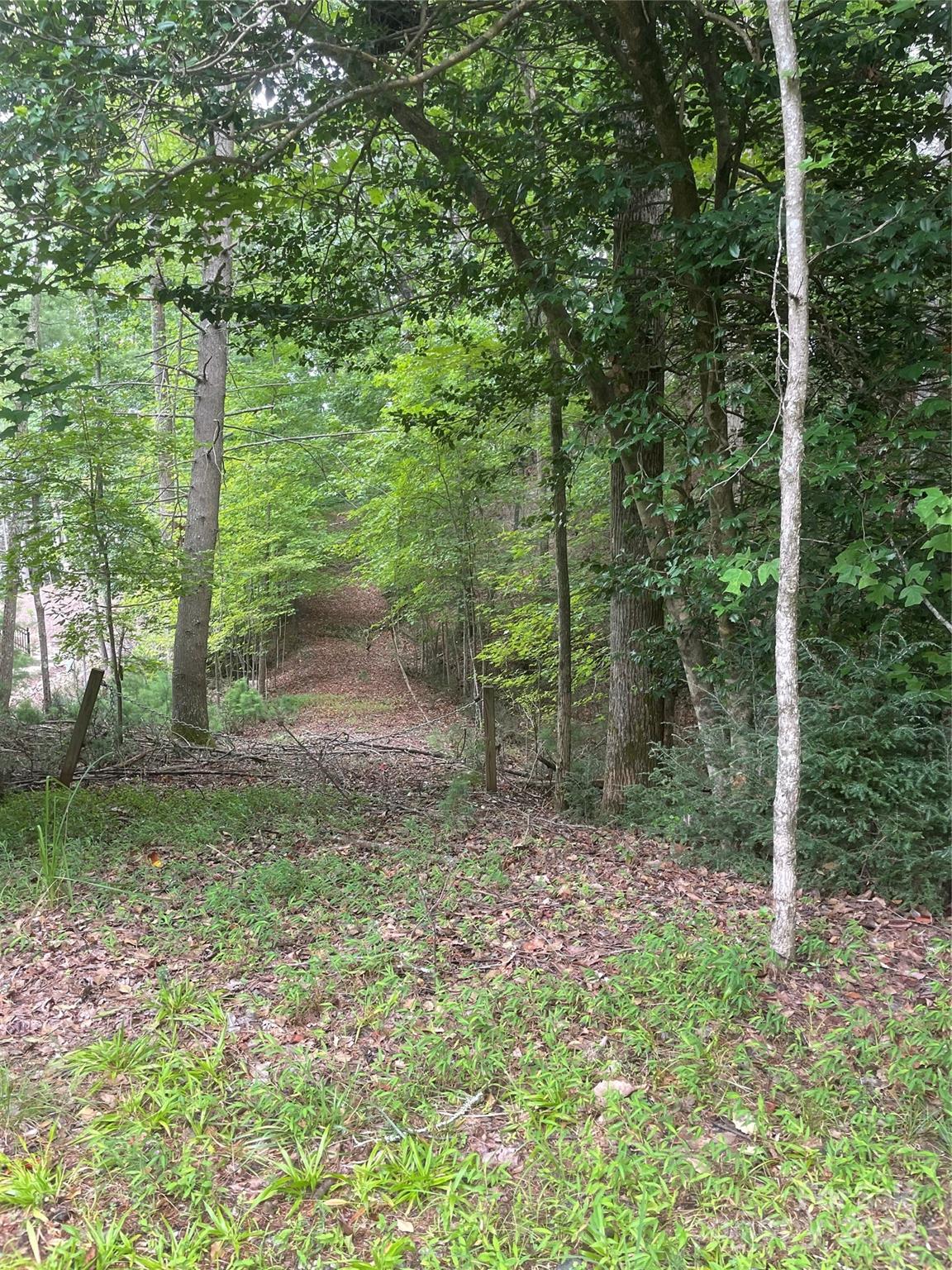 The Arbor at Lake James - Land