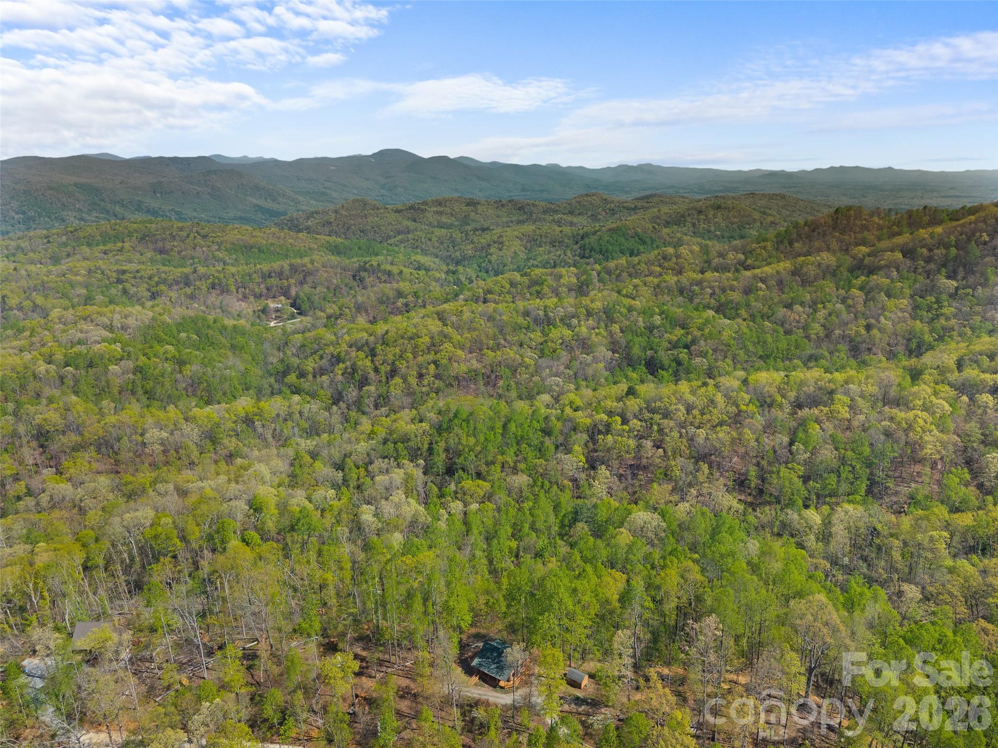 The Forest at Rixhaven - Residential
