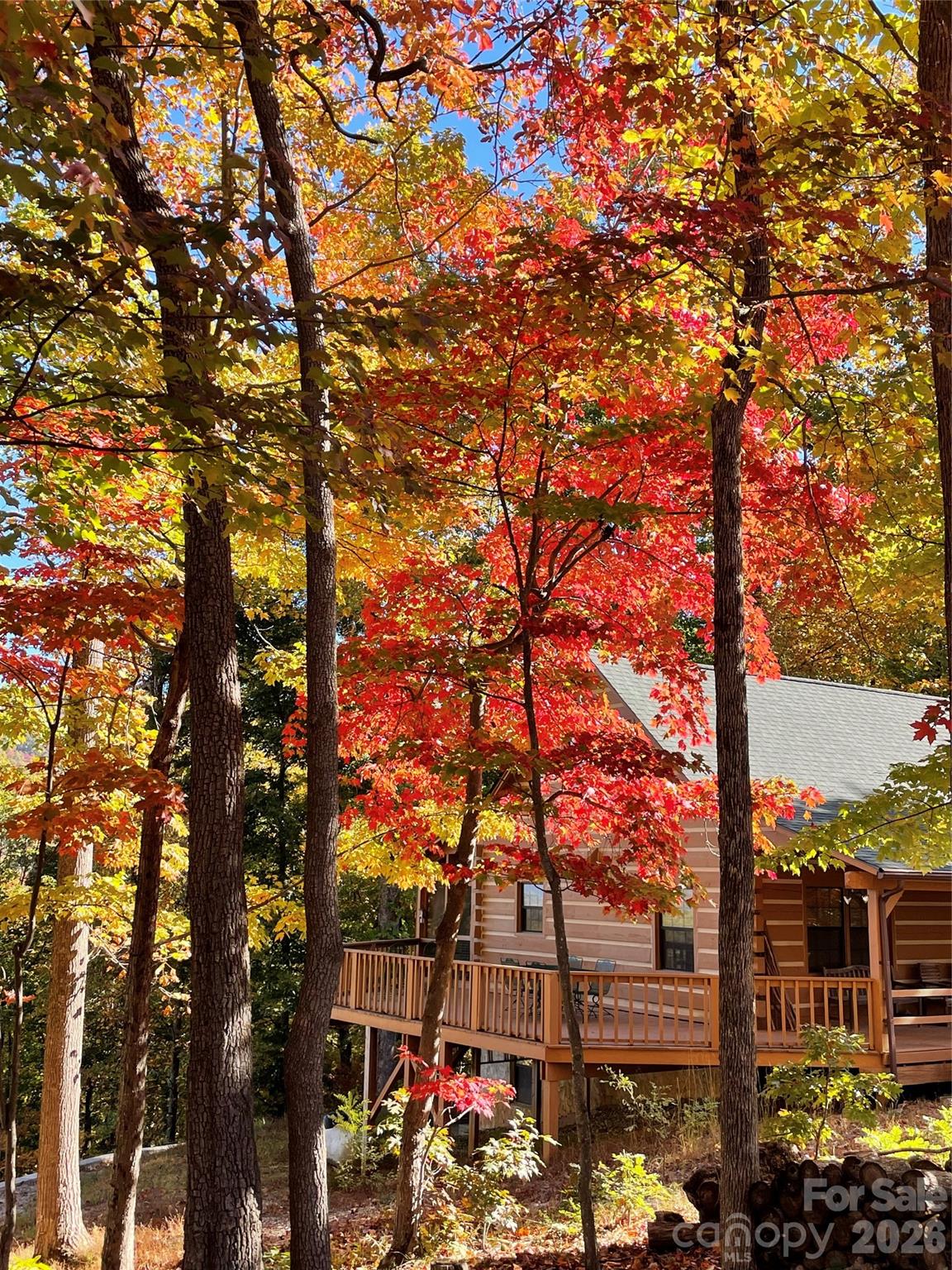 The Forest at Rixhaven - Residential