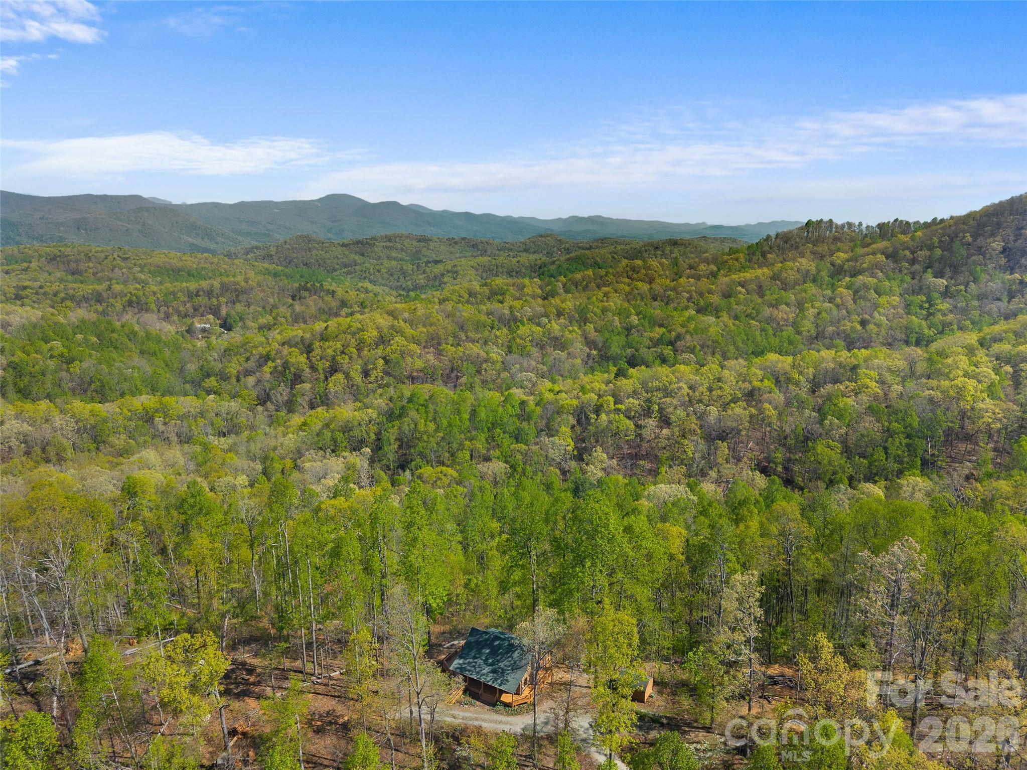 The Forest at Rixhaven - Residential