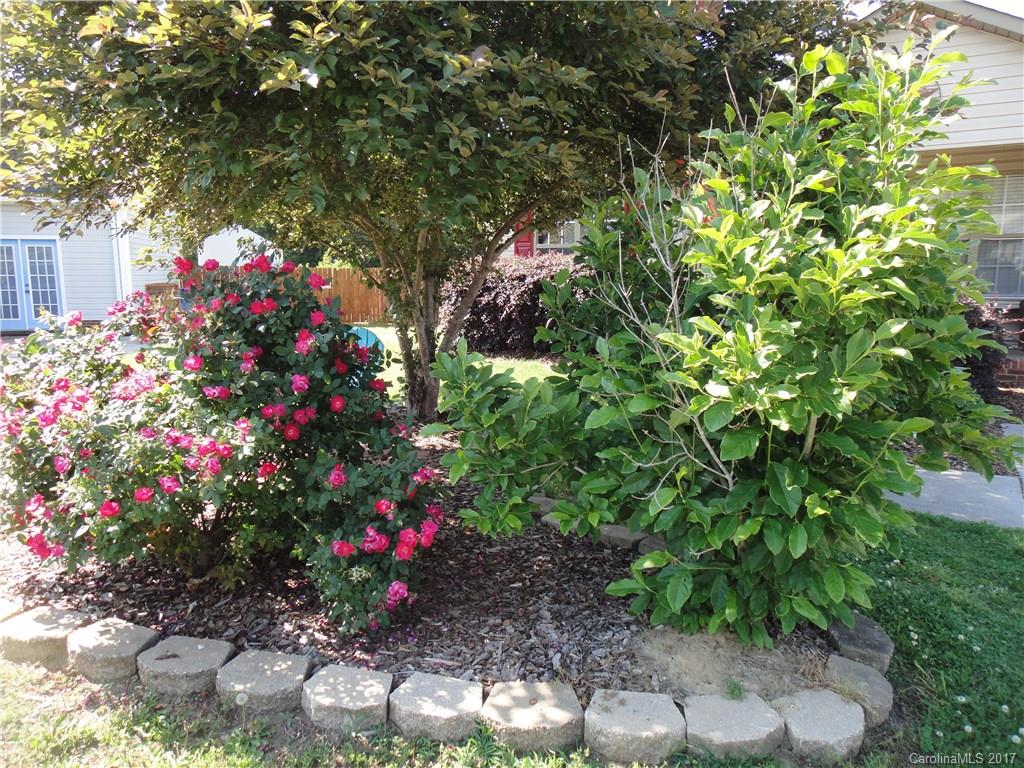 St Andrews - Residential