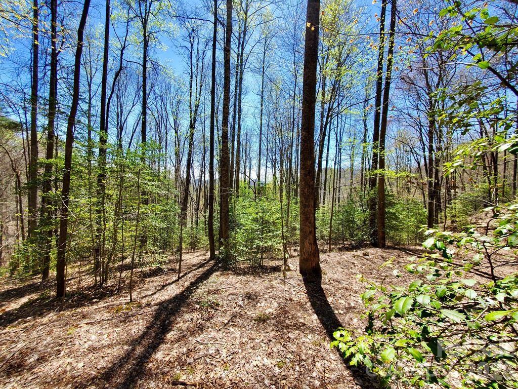 Lot 9 Hemlock Falls Drive Unit 9, Sylva, NC, 28779
