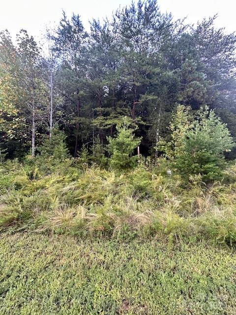 431 Ridge Point Road 7