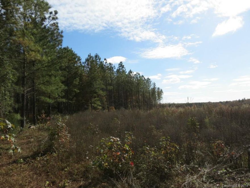 Very nice tract of land with lots of road frontage and nice planted pines in the front.  The back of the land has been timbered but could easily be cleared into a very nice pasture.  The land lays very nice with a gentle rolling topo.  There is more acreage available.
