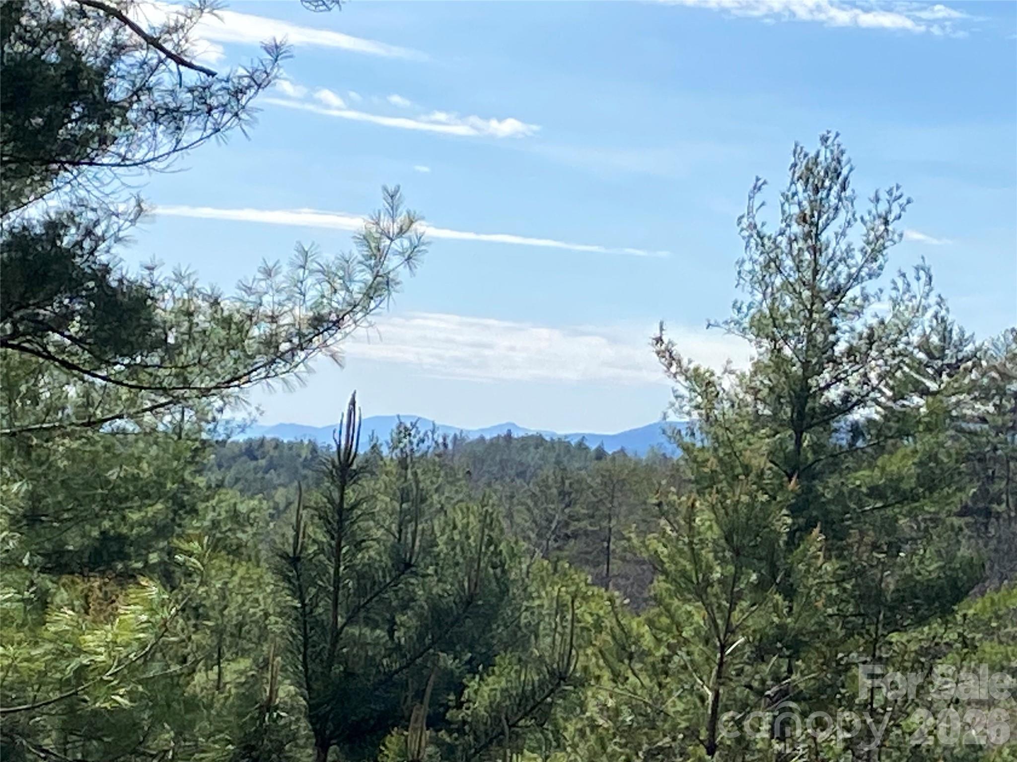 The Coves Mountain River Club - Residential