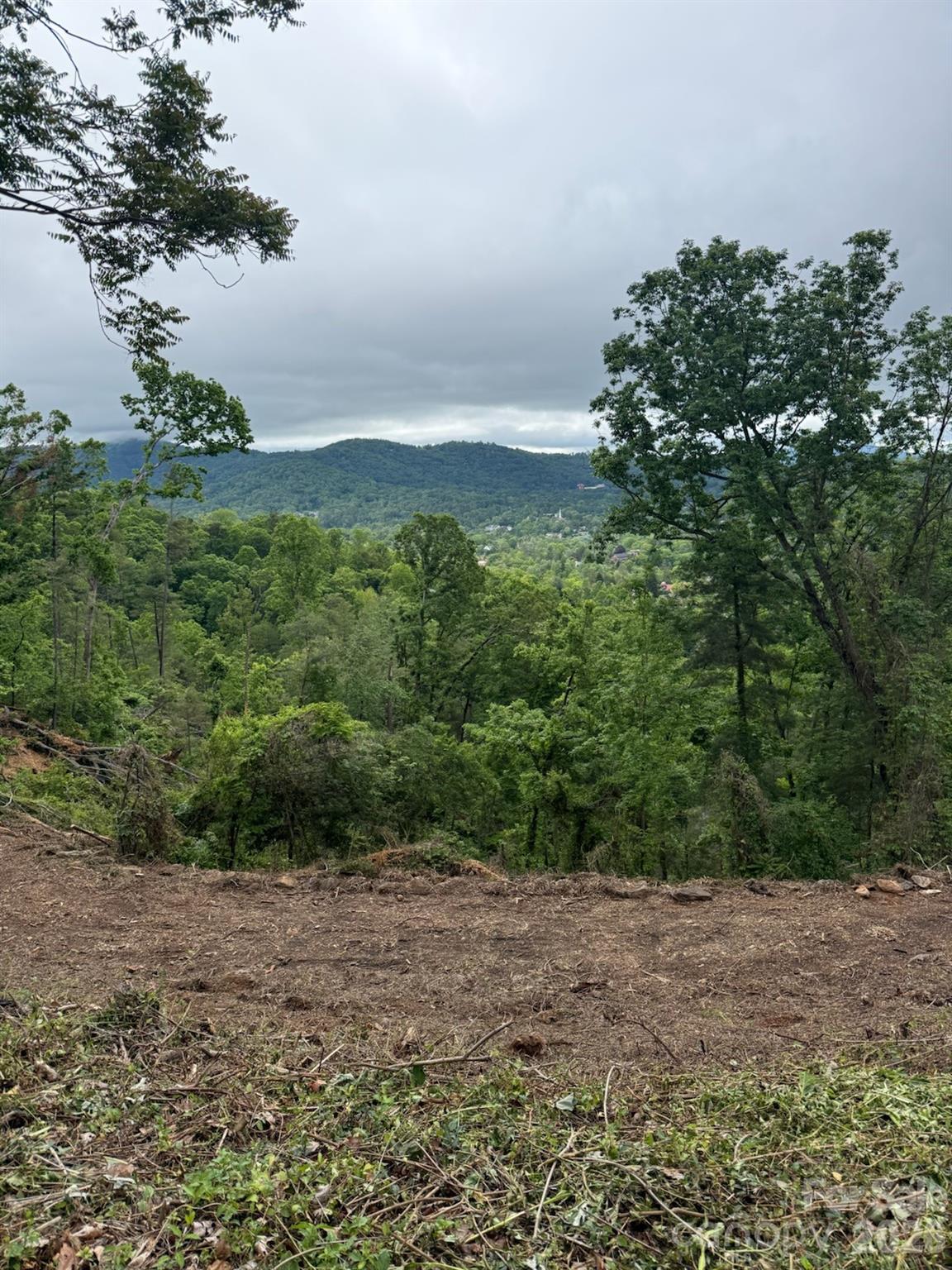 Reynolds Mountain - Land
