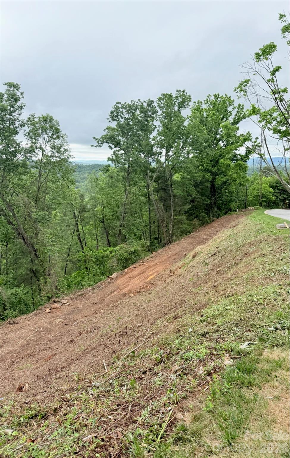 Reynolds Mountain - Land