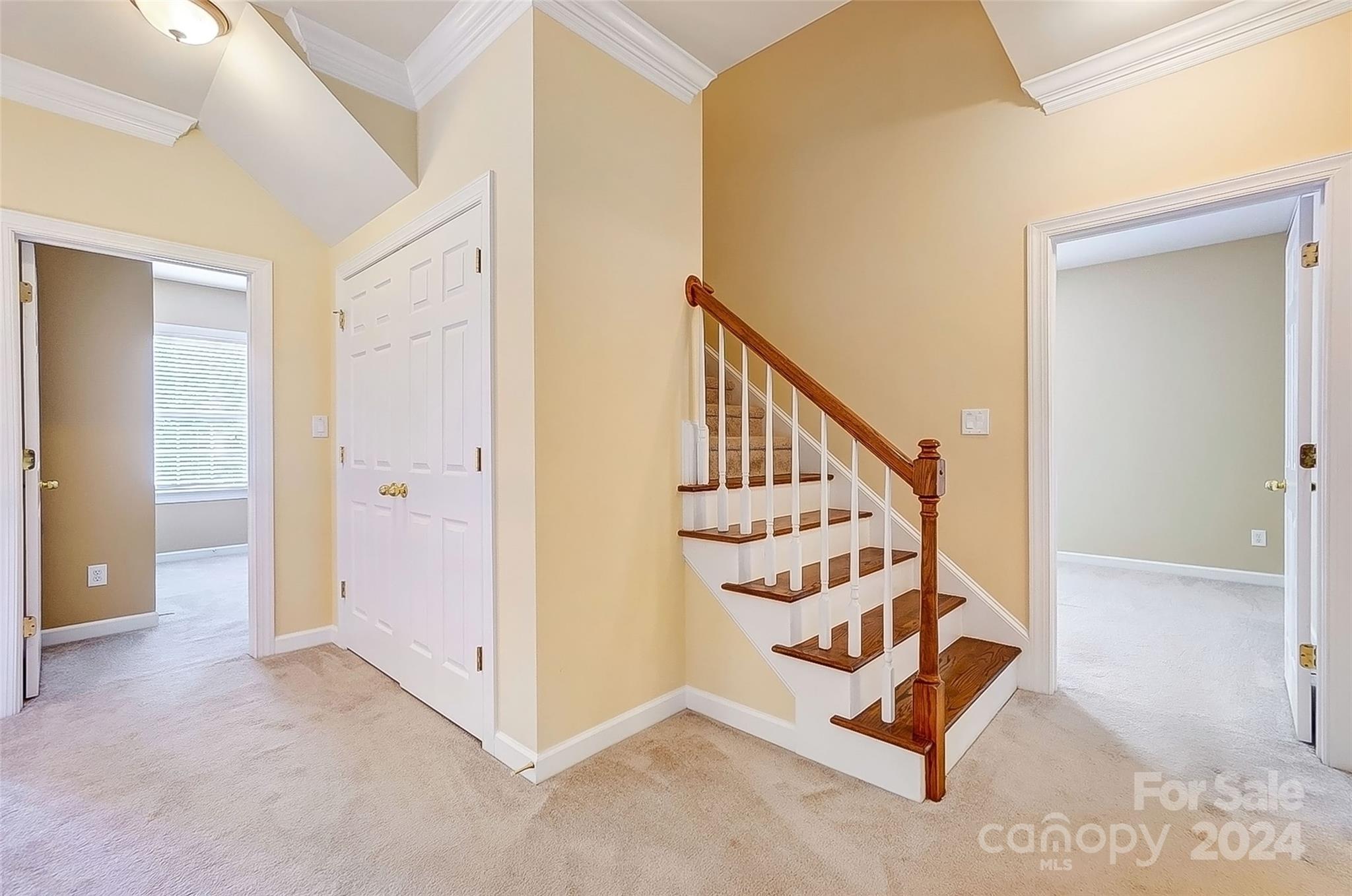 Lake Shore - Residential