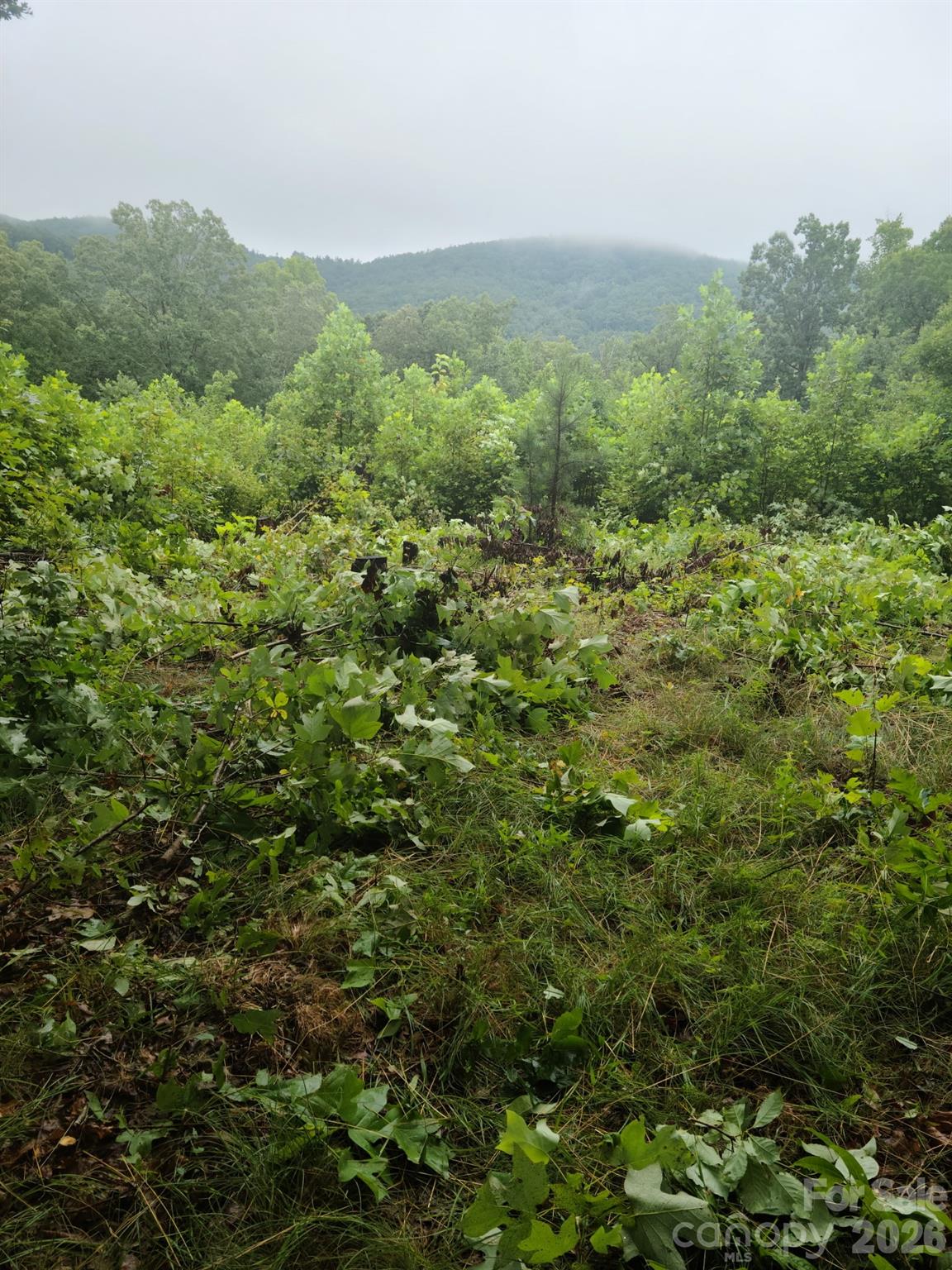 0 Osprey Lane