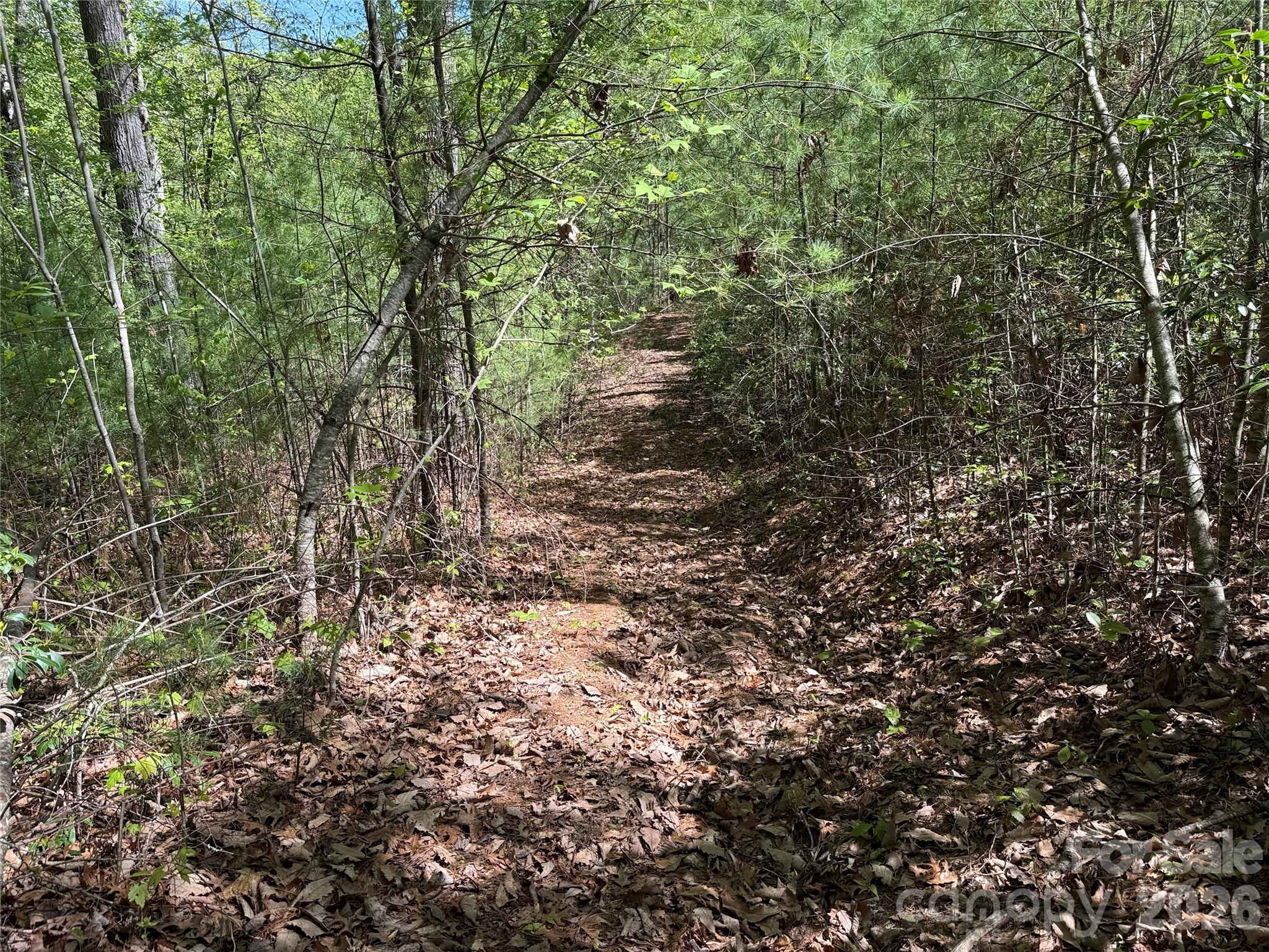 Buck Mountain - Land