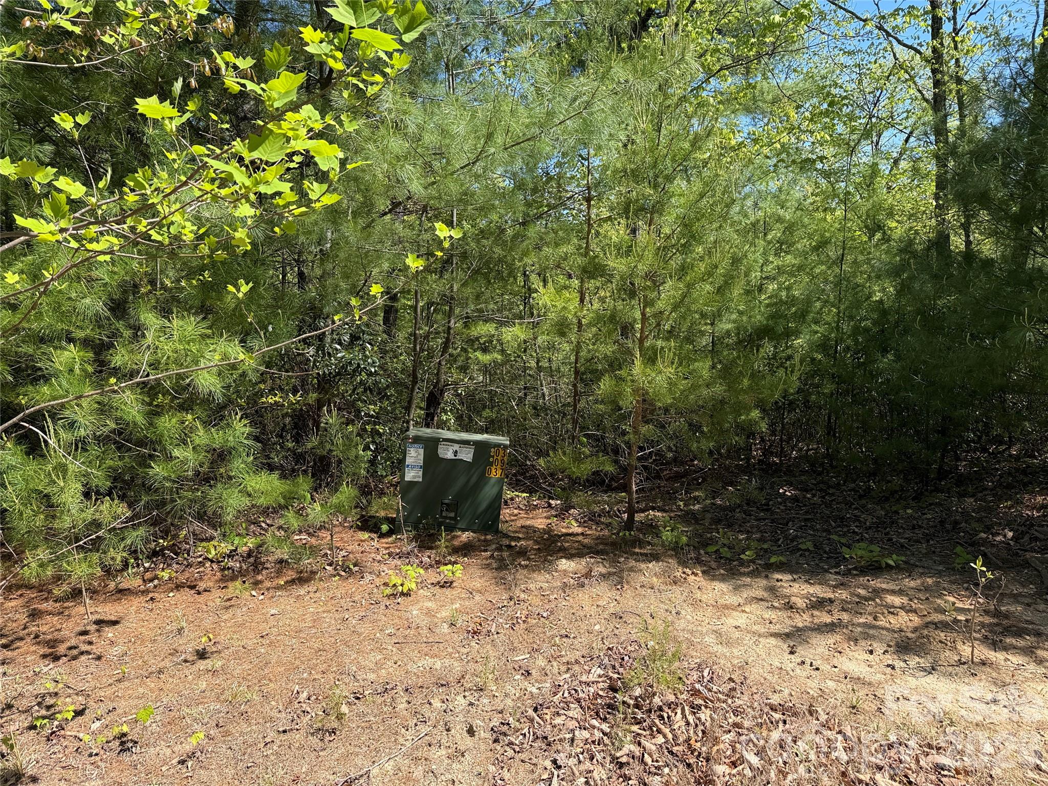 Buck Mountain - Land