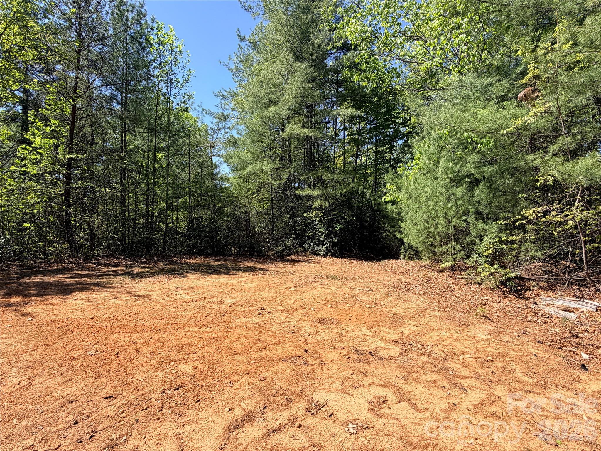 Buck Mountain - Land