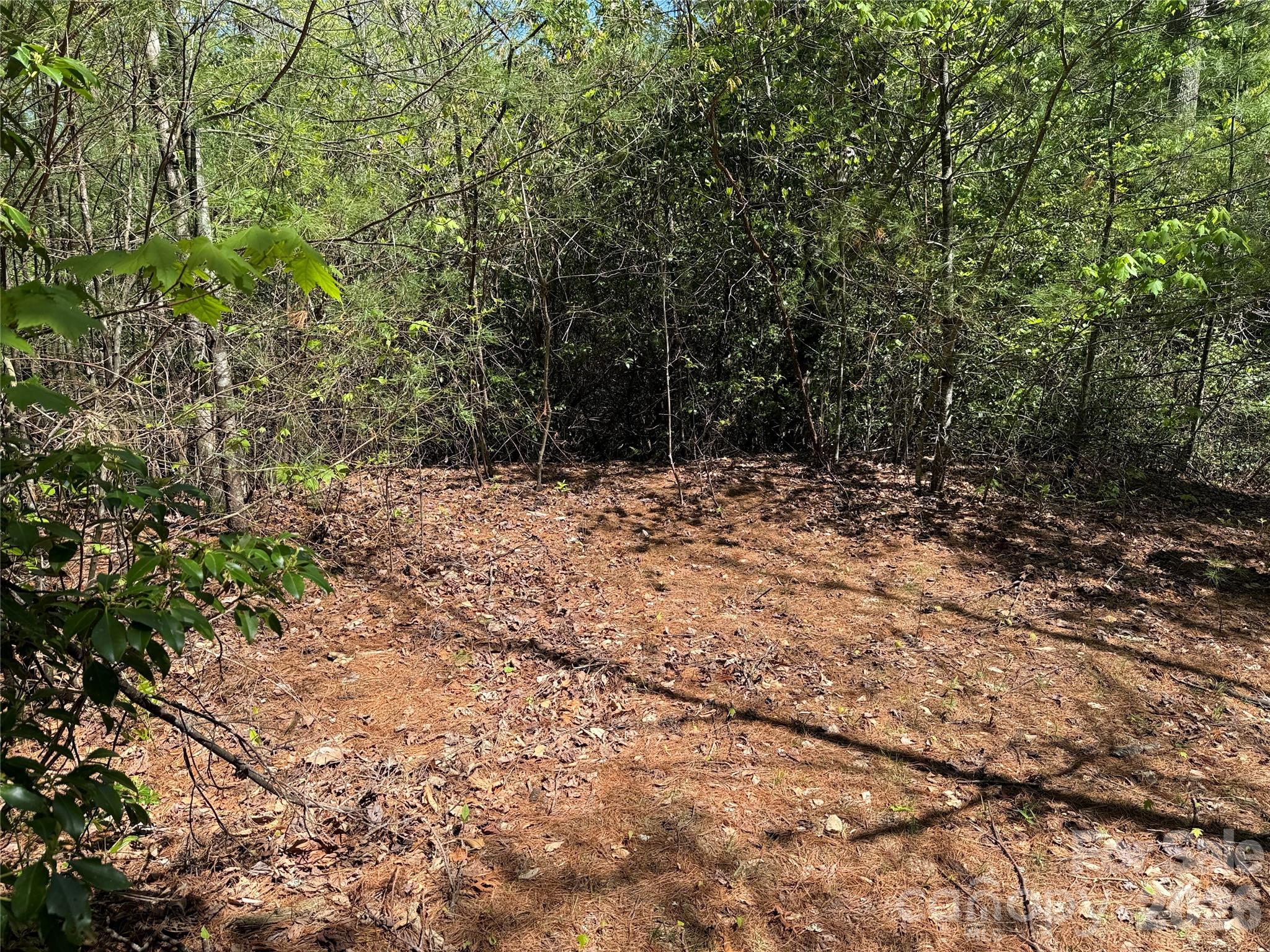 Buck Mountain - Land