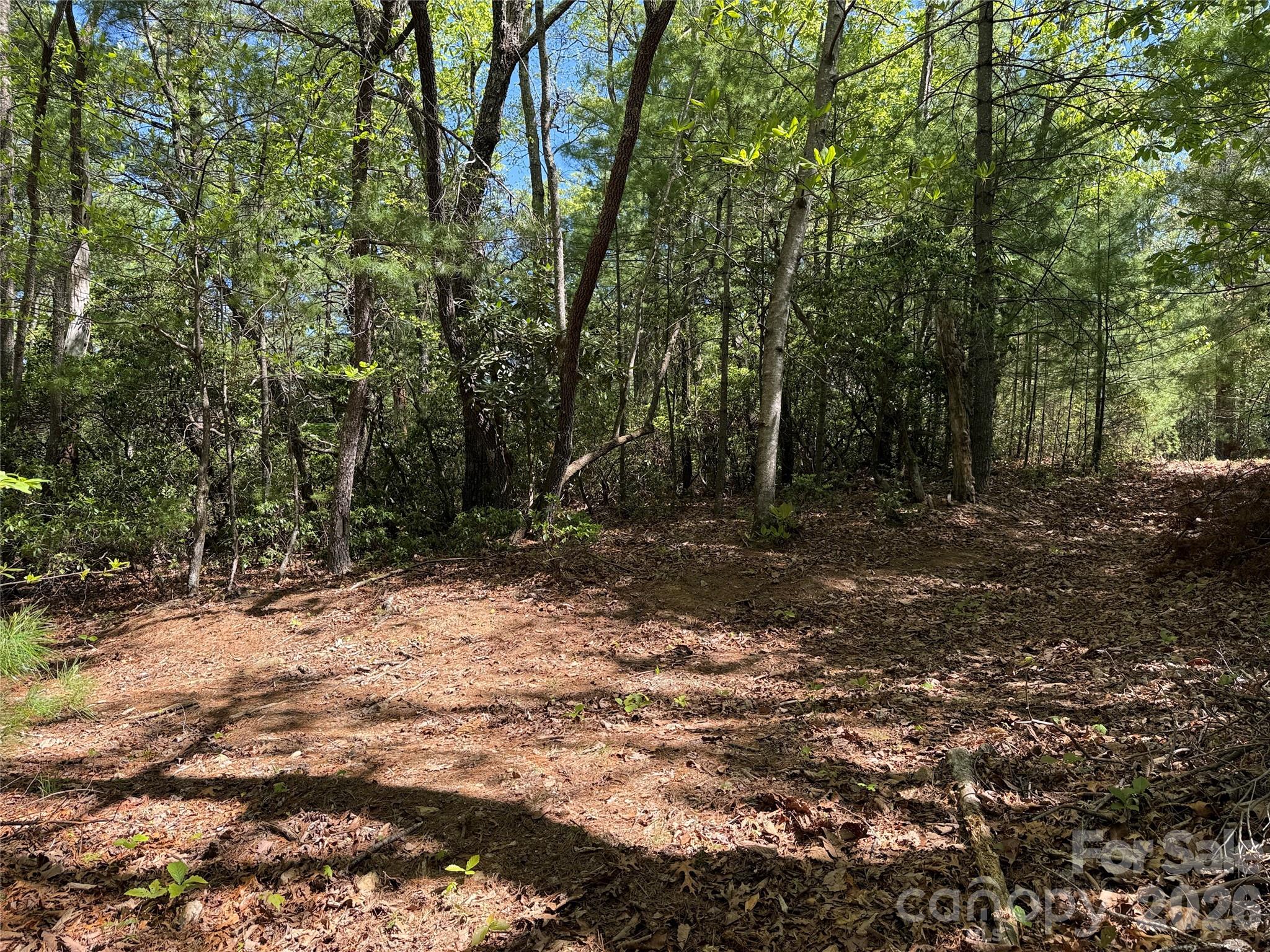 Buck Mountain - Land