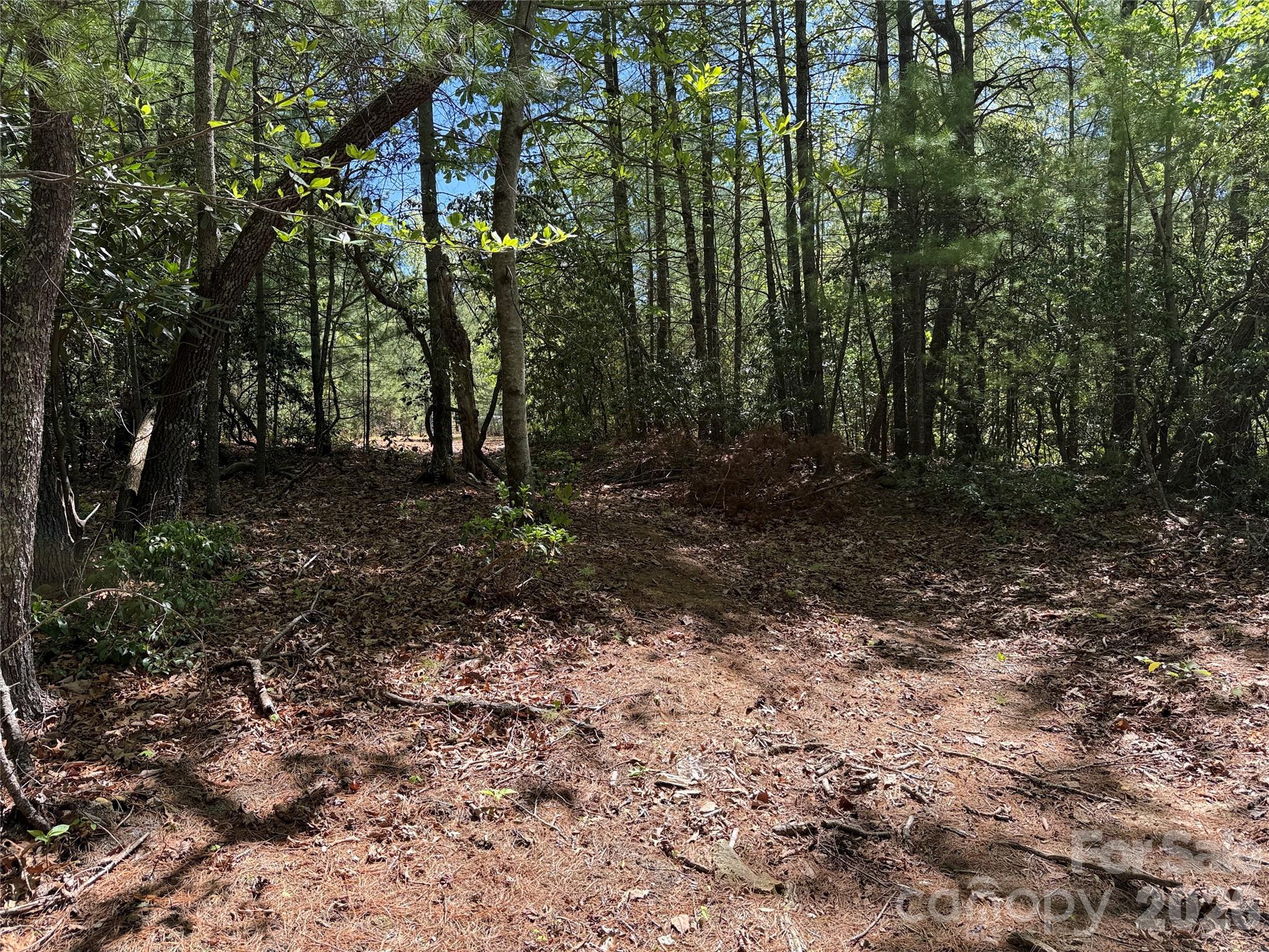 Buck Mountain - Land