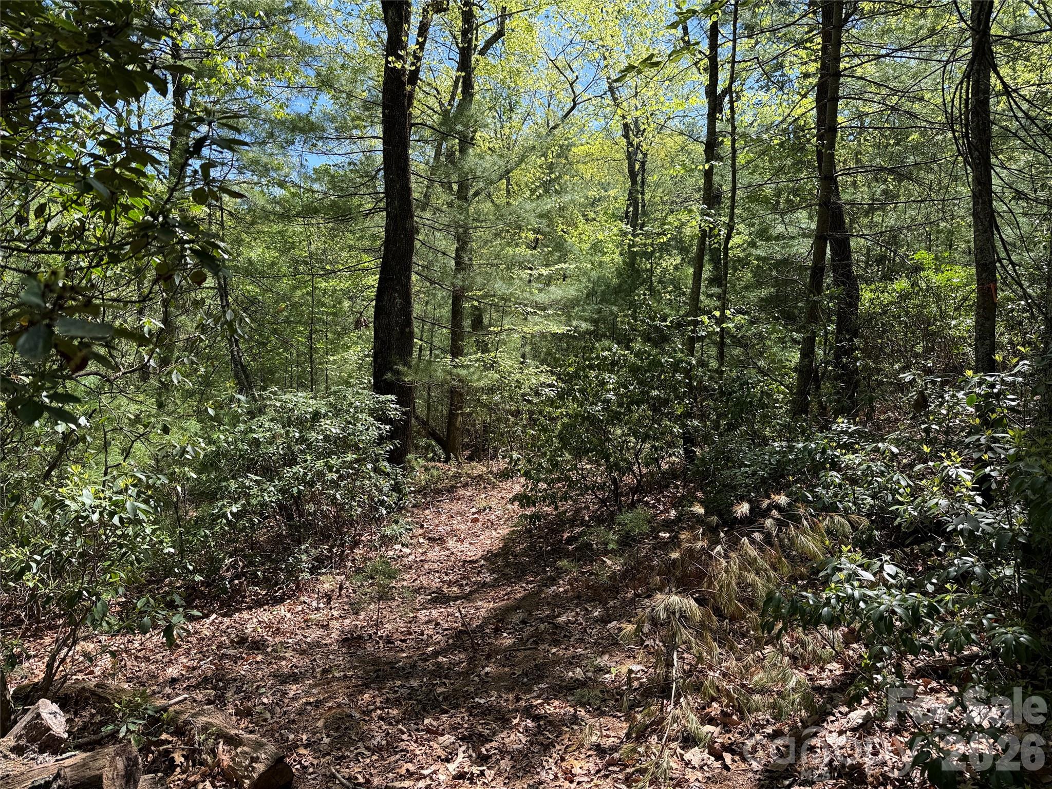 Buck Mountain - Land