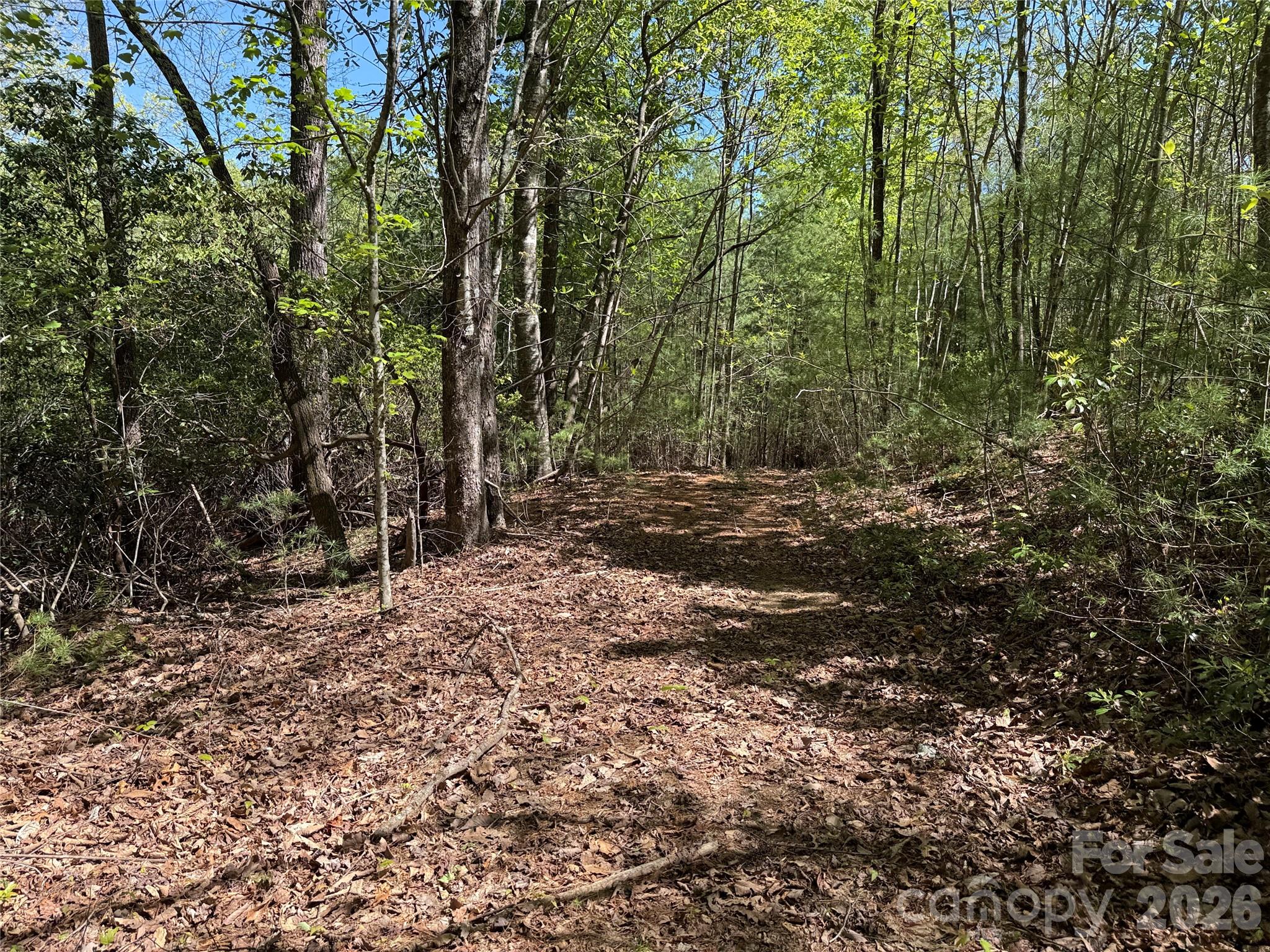 Buck Mountain - Land