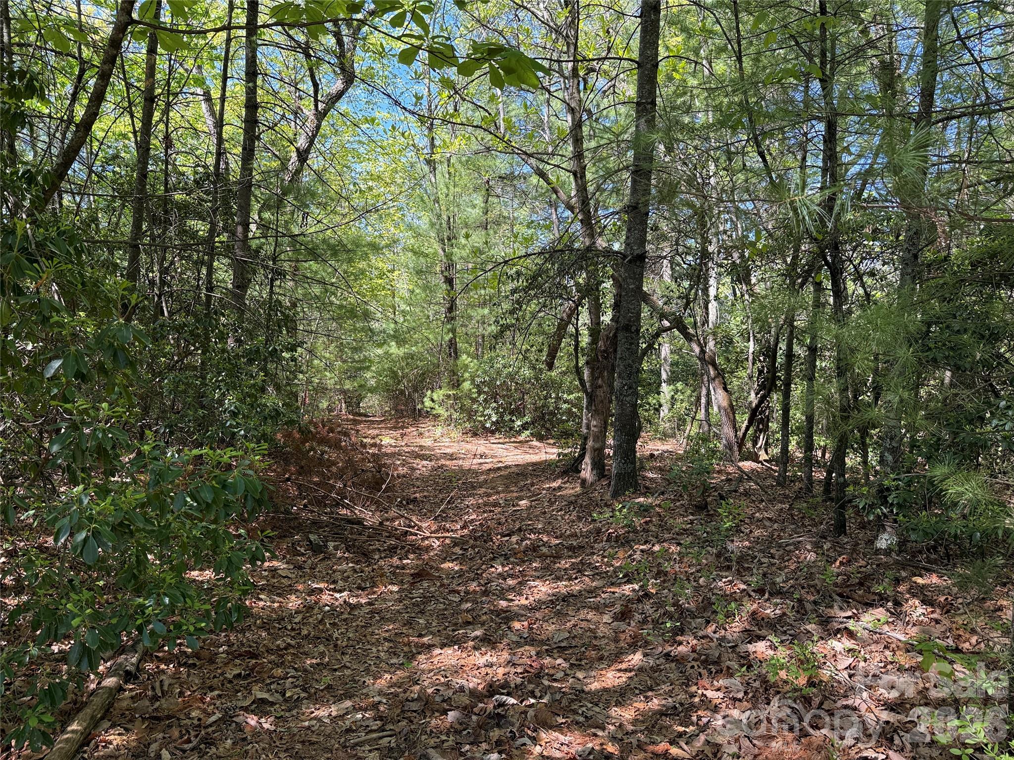 Buck Mountain - Land