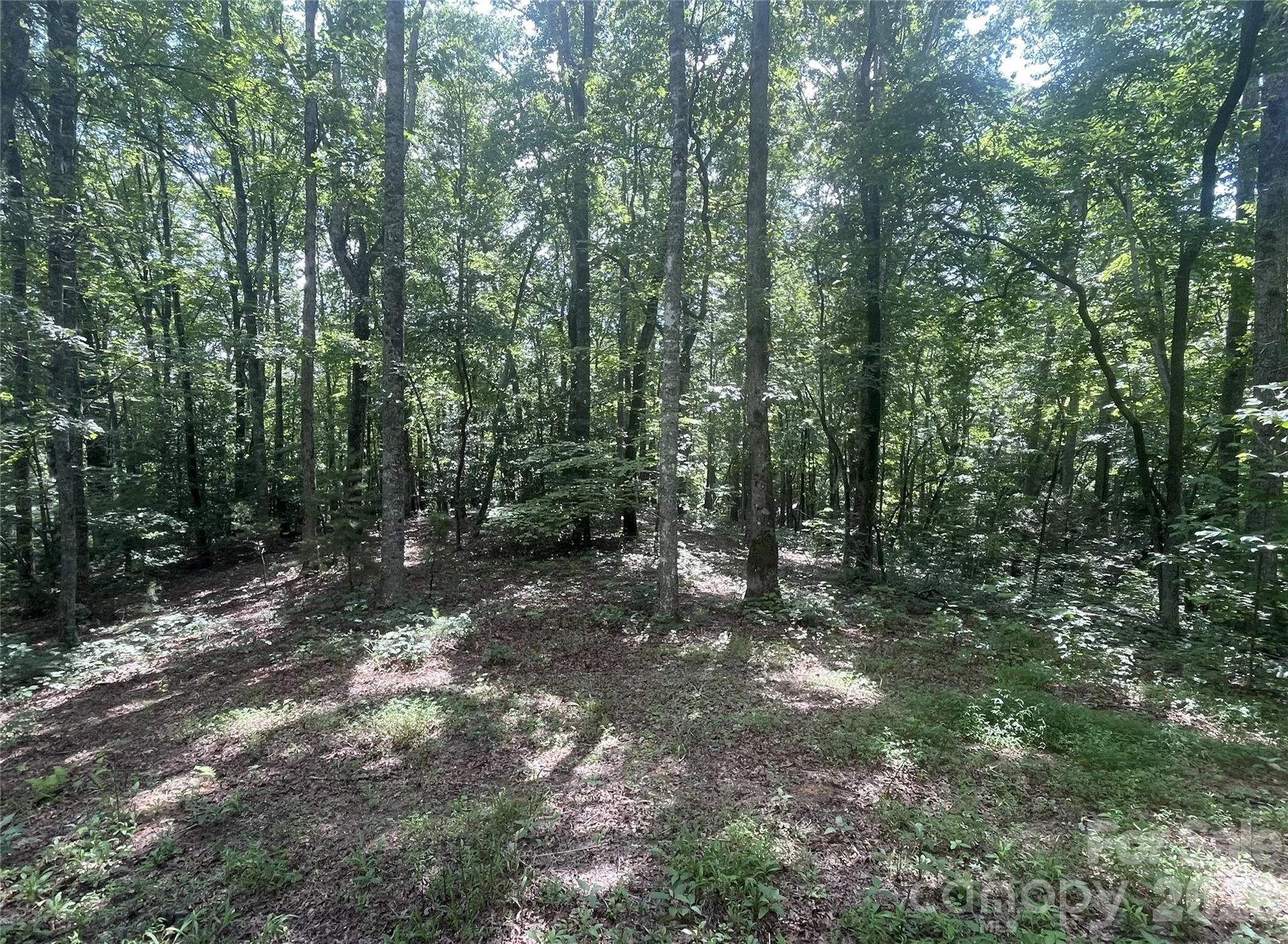 2060 Us 19 Highway S, Bryson City, NC, 28713