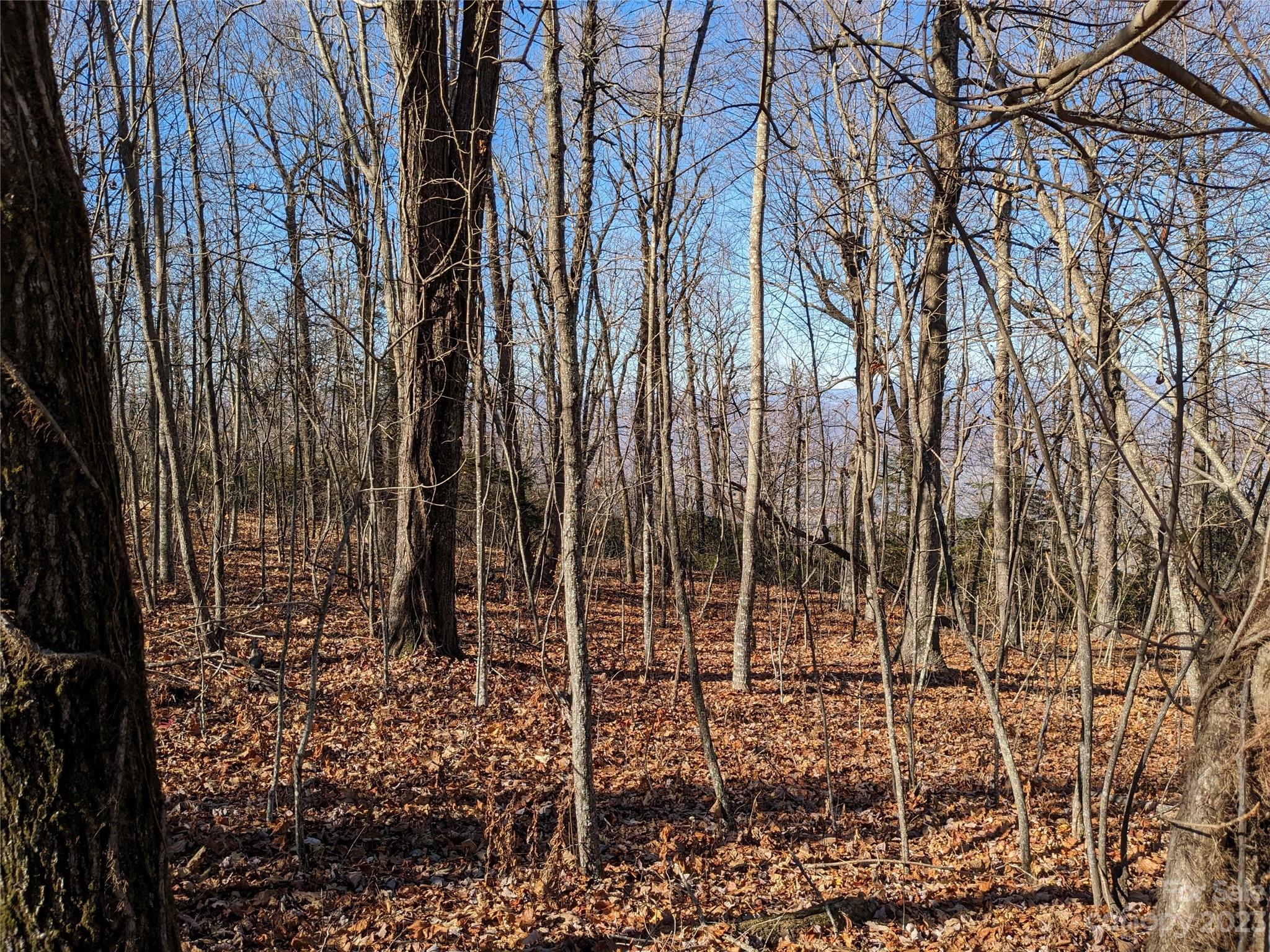 Gateway Mountain - Land