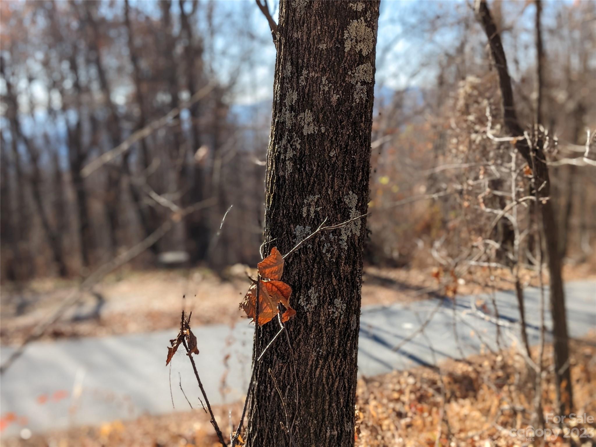 Gateway Mountain - Land