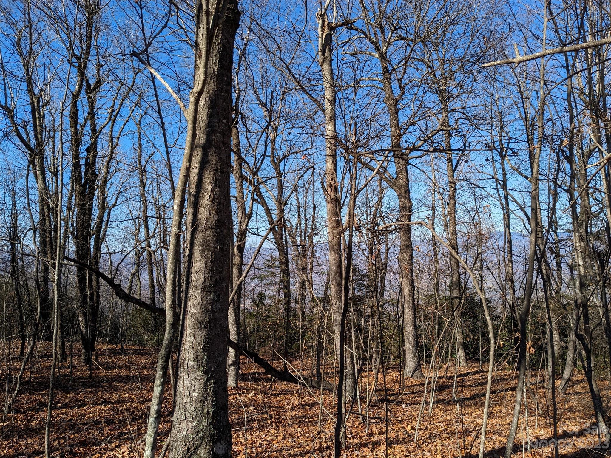 Gateway Mountain - Land